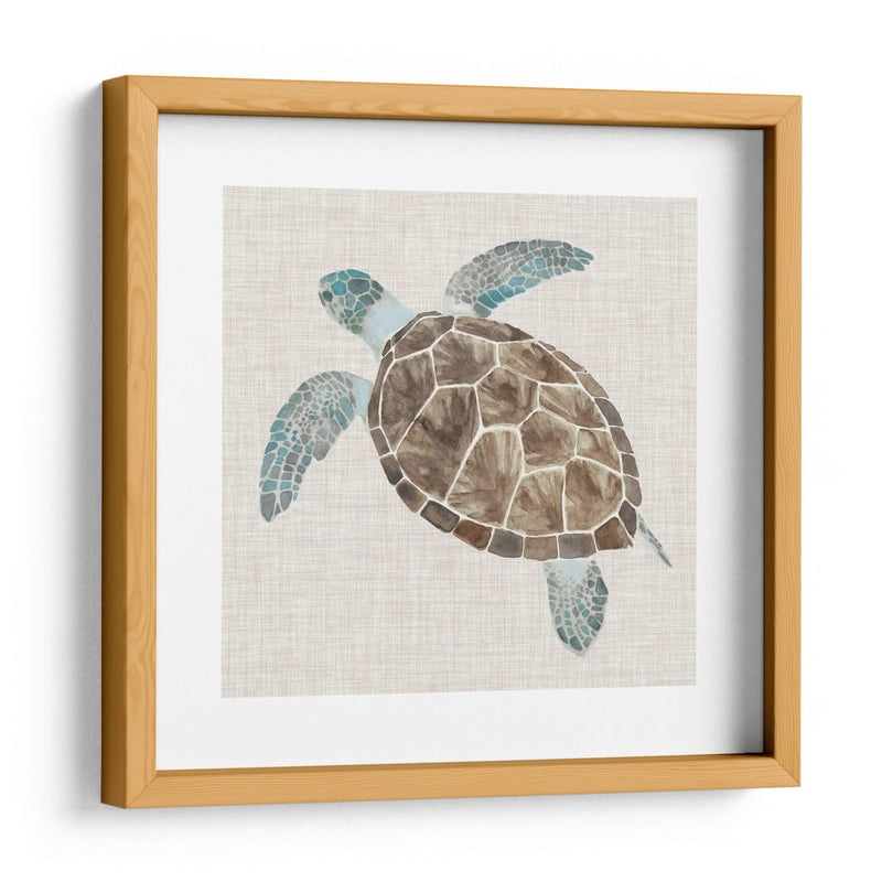 Tortuga De Mar Ii - Naomi McCavitt | Cuadro decorativo de Canvas Lab