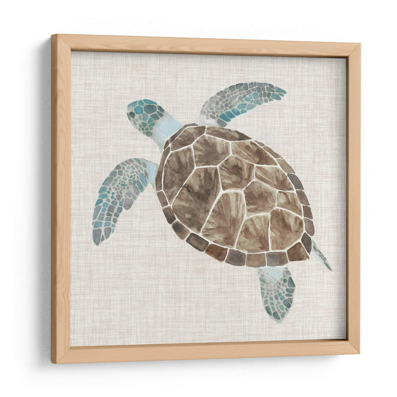 Tortuga De Mar Ii - Naomi McCavitt | Cuadro decorativo de Canvas Lab