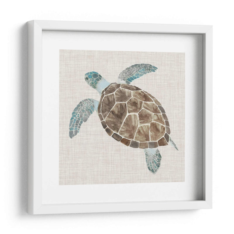 Tortuga De Mar Ii - Naomi McCavitt | Cuadro decorativo de Canvas Lab