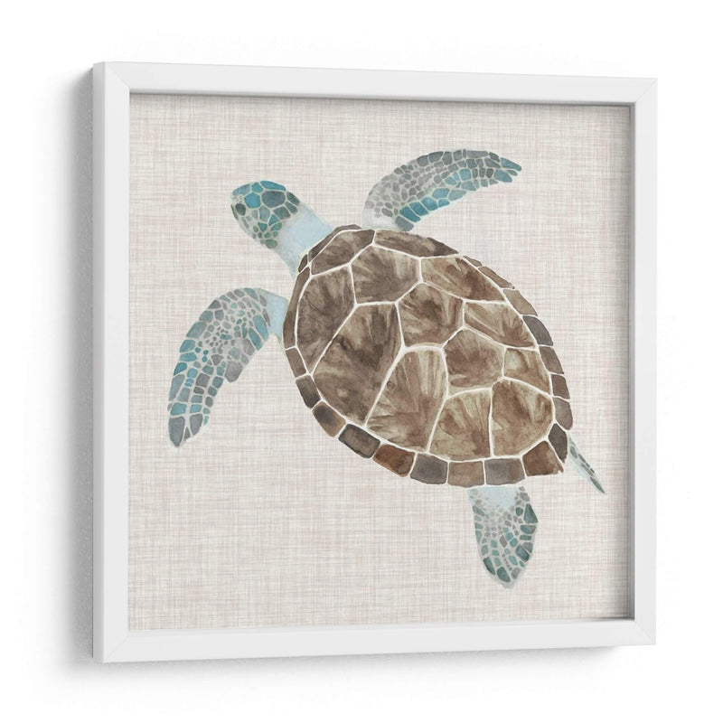 Tortuga De Mar Ii - Naomi McCavitt | Cuadro decorativo de Canvas Lab