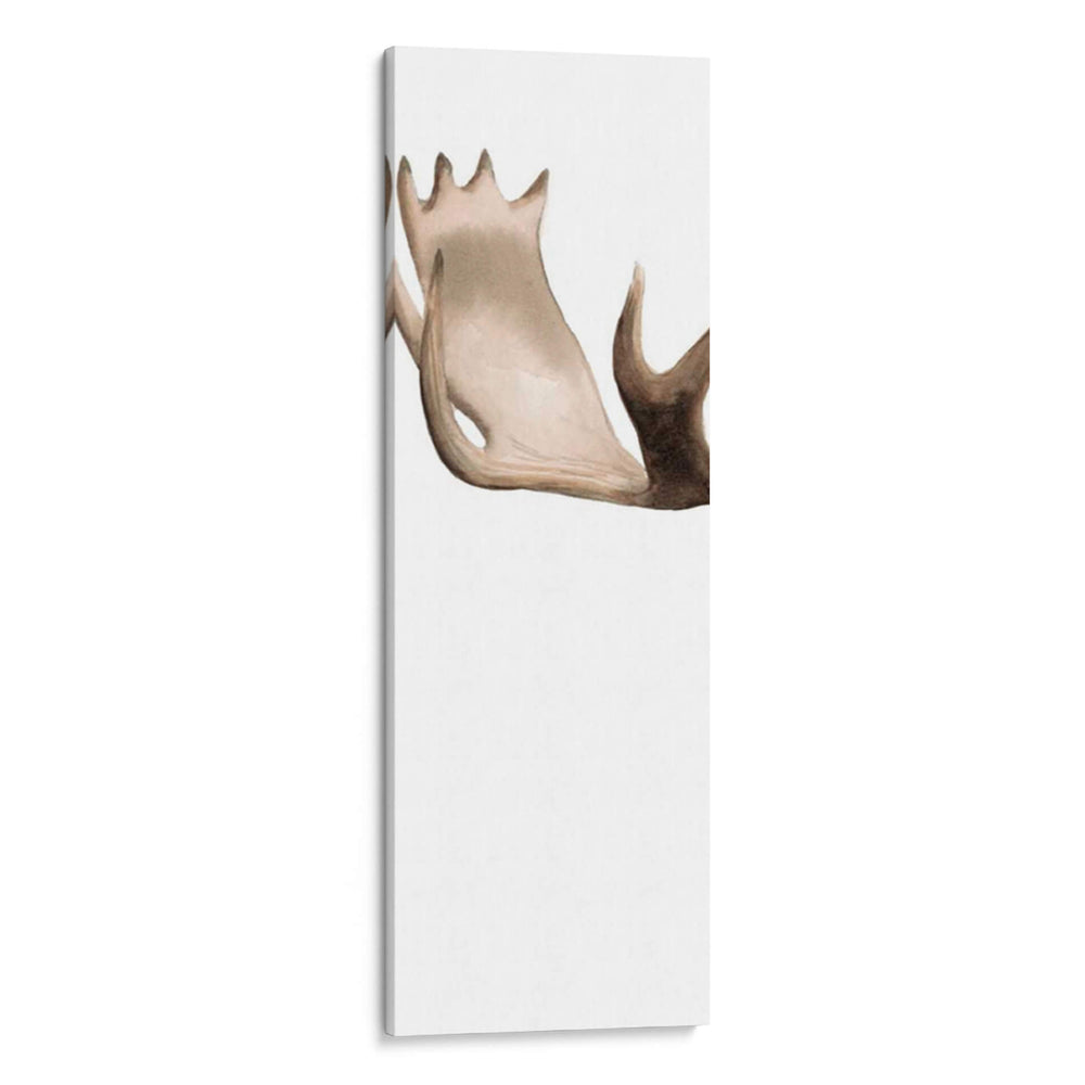 Tríptico Alce I - Grace Popp | Cuadro decorativo de Canvas Lab