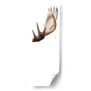 Tríptico Alce Iii - Grace Popp | Cuadro decorativo de Canvas Lab