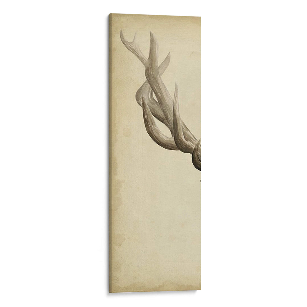 Tríptico Alces I - Grace Popp | Cuadro decorativo de Canvas Lab