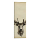 Tríptico Elk Ii - Grace Popp | Cuadro decorativo de Canvas Lab