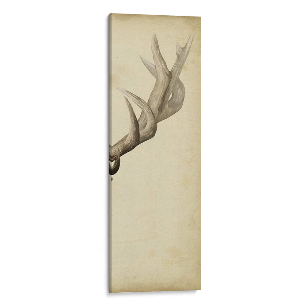 Tríptico Elk Iii - Grace Popp | Cuadro decorativo de Canvas Lab