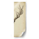 Tríptico Elk Iii - Grace Popp | Cuadro decorativo de Canvas Lab