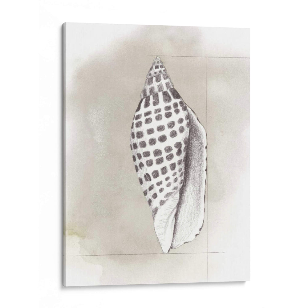 Diagrama De Shell Iv - Grace Popp | Cuadro decorativo de Canvas Lab
