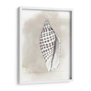Diagrama De Shell Iv - Grace Popp | Cuadro decorativo de Canvas Lab