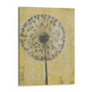 Diente De León Abstracto Ii - Tim OToole | Cuadro decorativo de Canvas Lab
