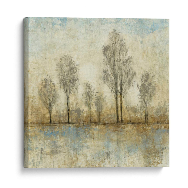 Naturaleza Tranquila Iii - Tim OToole | Cuadro decorativo de Canvas Lab