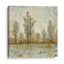 Naturaleza Tranquila Iv - Tim OToole | Cuadro decorativo de Canvas Lab