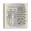 Jardín Scrapbook Ii - June Erica Vess | Cuadro decorativo de Canvas Lab