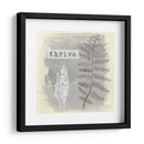 Jardín Scrapbook Ii - June Erica Vess | Cuadro decorativo de Canvas Lab