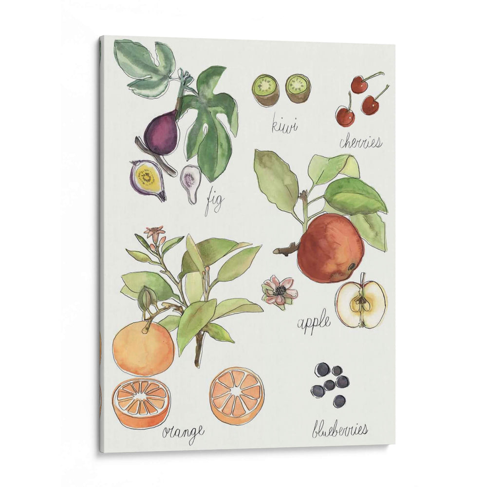 Fruta Metley I - Naomi McCavitt | Cuadro decorativo de Canvas Lab