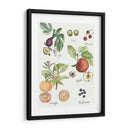 Fruta Metley I - Naomi McCavitt | Cuadro decorativo de Canvas Lab