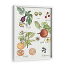 Fruta Metley I - Naomi McCavitt | Cuadro decorativo de Canvas Lab