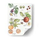 Fruta Metley I - Naomi McCavitt | Cuadro decorativo de Canvas Lab