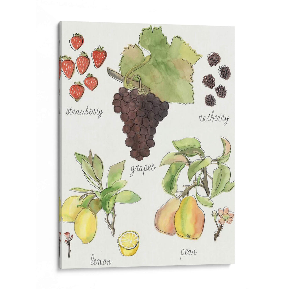 Fruta Medley Ii - Naomi McCavitt | Cuadro decorativo de Canvas Lab