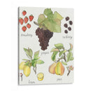 Fruta Medley Ii - Naomi McCavitt | Cuadro decorativo de Canvas Lab