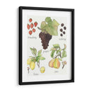 Fruta Medley Ii - Naomi McCavitt | Cuadro decorativo de Canvas Lab