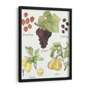Fruta Medley Ii - Naomi McCavitt | Cuadro decorativo de Canvas Lab