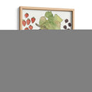 Fruta Medley Ii - Naomi McCavitt | Cuadro decorativo de Canvas Lab