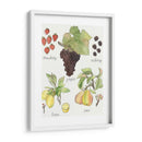 Fruta Medley Ii - Naomi McCavitt | Cuadro decorativo de Canvas Lab