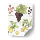 Fruta Medley Ii - Naomi McCavitt | Cuadro decorativo de Canvas Lab