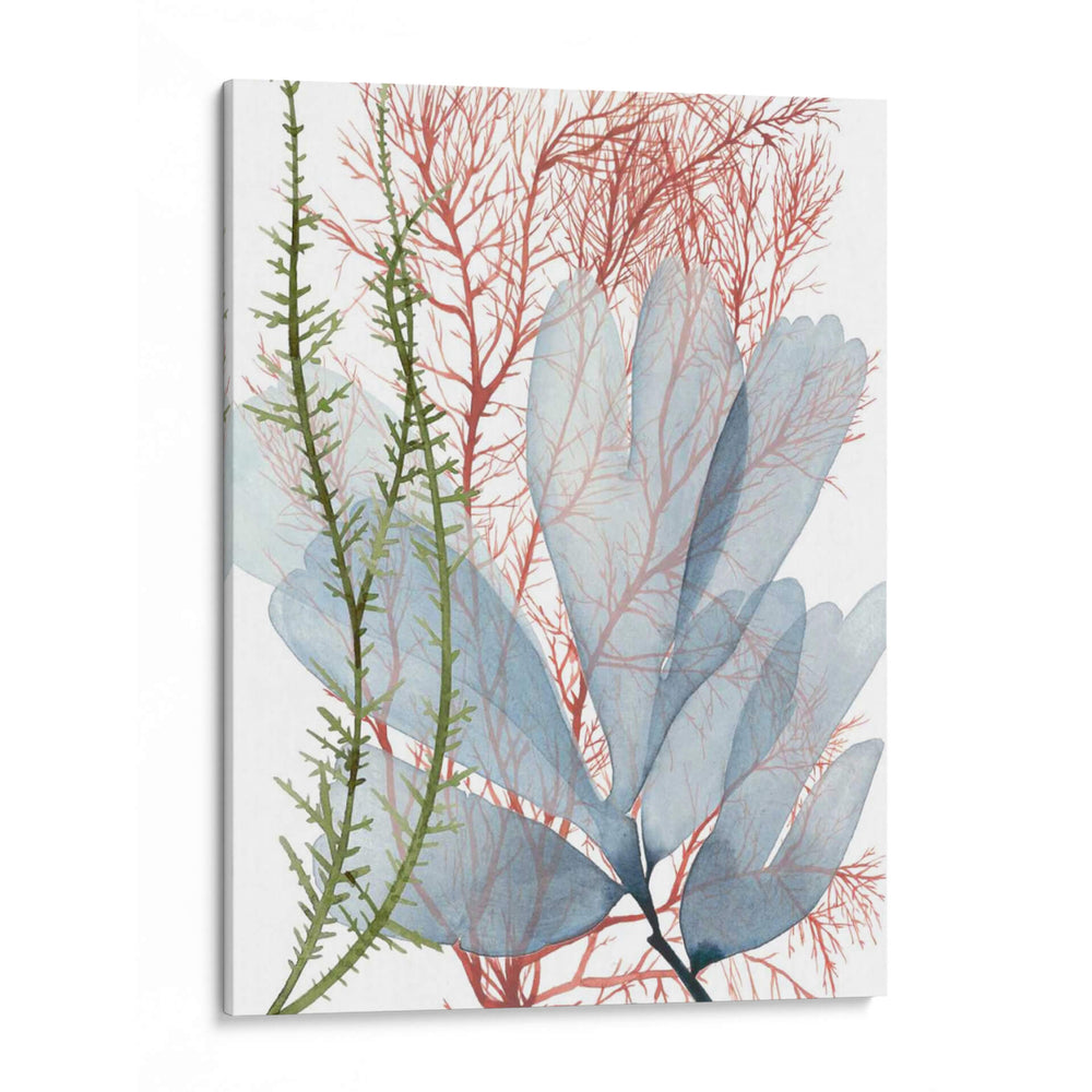 Flujo De Algas I - Grace Popp | Cuadro decorativo de Canvas Lab