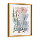 Flujo De Algas I - Grace Popp | Cuadro decorativo de Canvas Lab