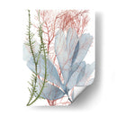 Flujo De Algas I - Grace Popp | Cuadro decorativo de Canvas Lab