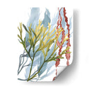 Flujo De Algas Ii - Grace Popp | Cuadro decorativo de Canvas Lab