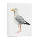 Sea Bird Ii - Grace Popp | Cuadro decorativo de Canvas Lab