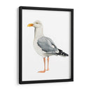 Sea Bird Ii - Grace Popp | Cuadro decorativo de Canvas Lab