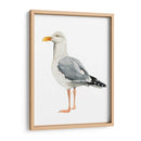 Sea Bird Ii - Grace Popp | Cuadro decorativo de Canvas Lab