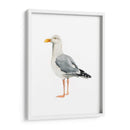 Sea Bird Ii - Grace Popp | Cuadro decorativo de Canvas Lab