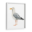 Sea Bird Ii - Grace Popp | Cuadro decorativo de Canvas Lab