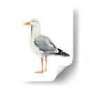 Sea Bird Ii - Grace Popp | Cuadro decorativo de Canvas Lab