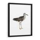 Sea Bird Iii - Grace Popp | Cuadro decorativo de Canvas Lab