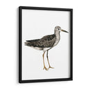 Sea Bird Iii - Grace Popp | Cuadro decorativo de Canvas Lab