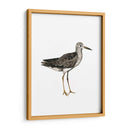Sea Bird Iii - Grace Popp | Cuadro decorativo de Canvas Lab