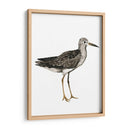 Sea Bird Iii - Grace Popp | Cuadro decorativo de Canvas Lab