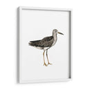 Sea Bird Iii - Grace Popp | Cuadro decorativo de Canvas Lab