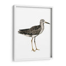 Sea Bird Iii - Grace Popp | Cuadro decorativo de Canvas Lab