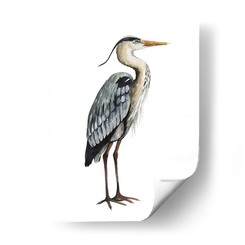 Mar Pájaro V - Grace Popp | Cuadro decorativo de Canvas Lab