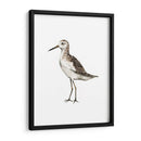 Sea Bird Vi - Grace Popp | Cuadro decorativo de Canvas Lab