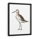 Sea Bird Vi - Grace Popp | Cuadro decorativo de Canvas Lab