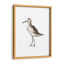 Sea Bird Vi - Grace Popp | Cuadro decorativo de Canvas Lab