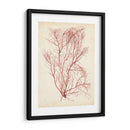Hierba De Mar De Acuarela I - Grace Popp | Cuadro decorativo de Canvas Lab