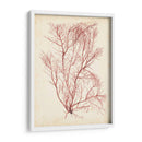 Hierba De Mar De Acuarela I - Grace Popp | Cuadro decorativo de Canvas Lab